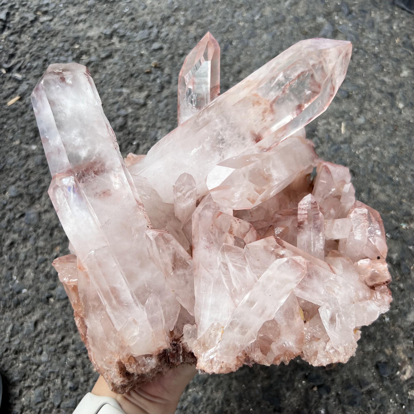 Livestream Claim Link